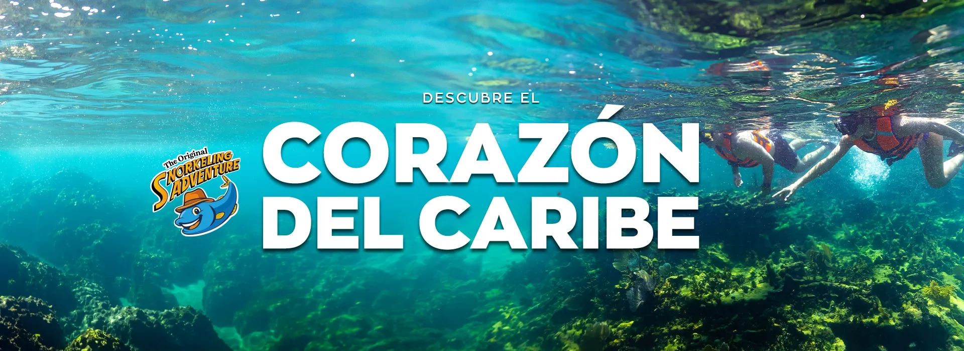 snorkel en puerto morelos