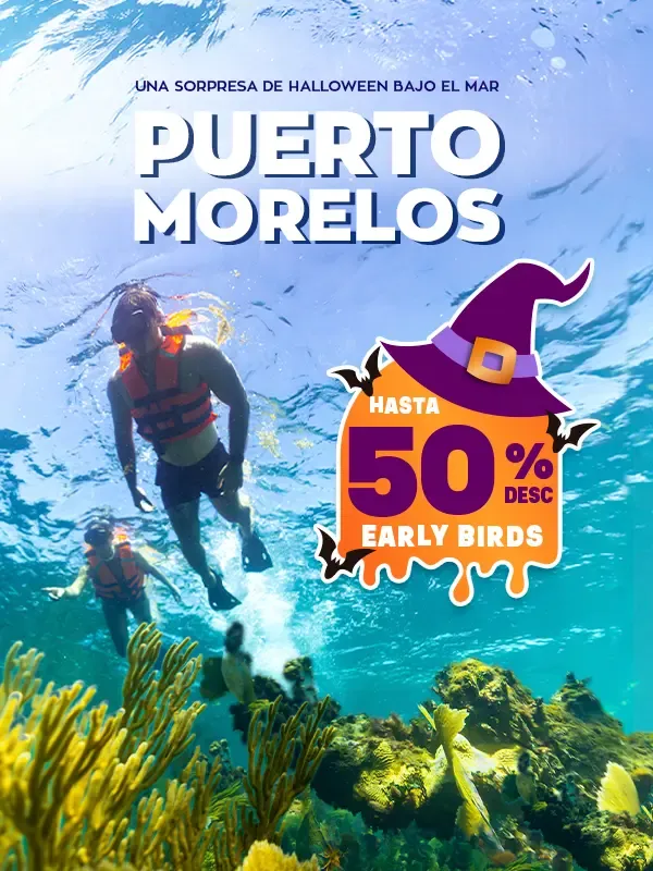 snorkel en puerto morelos