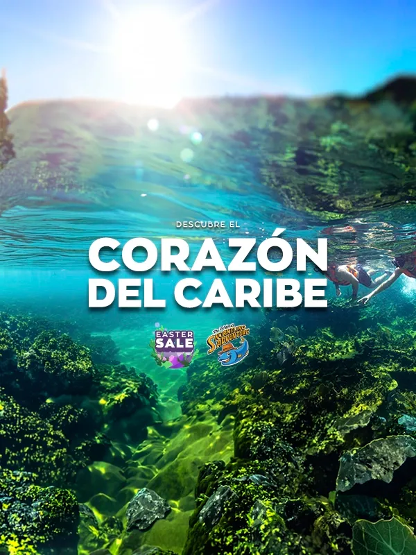 snorkel en puerto morelos