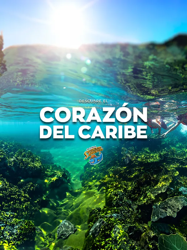 snorkel en puerto morelos