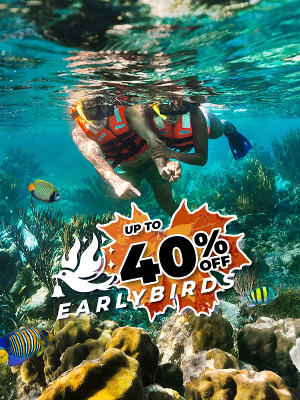 snorkel in puerto morelos