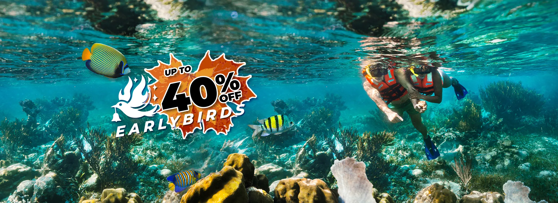snorkel in puerto morelos