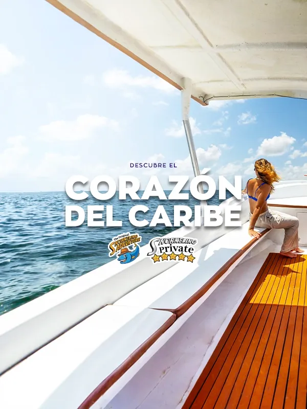 private boat and snorkel in puerto morelos