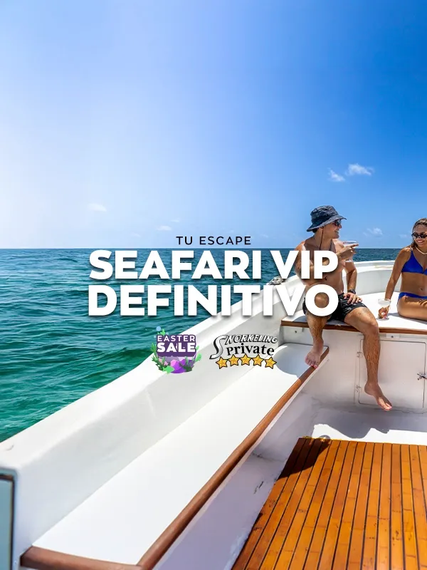 snorkel privado en puerto morelos