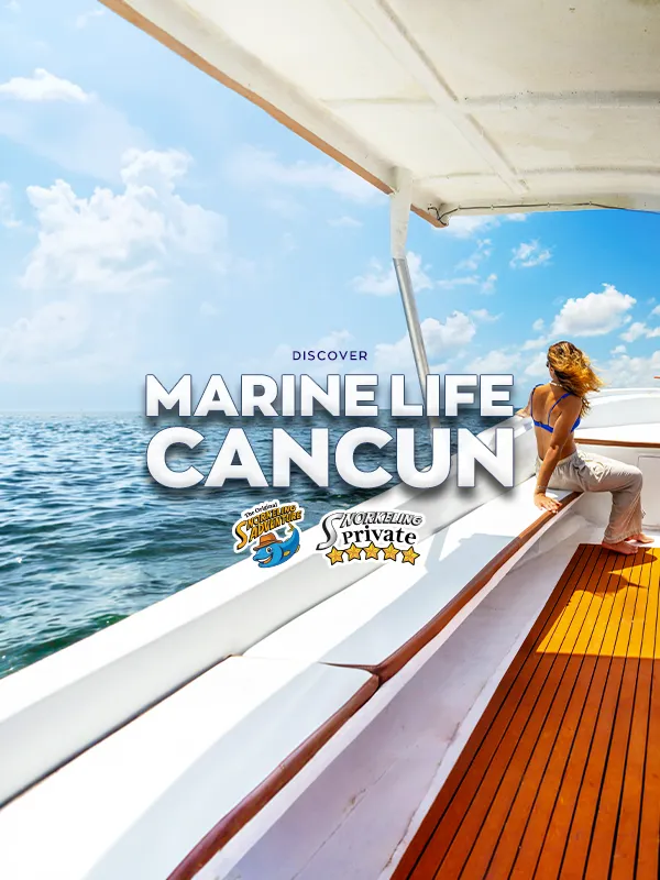 private boat and snorkel in puerto morelos