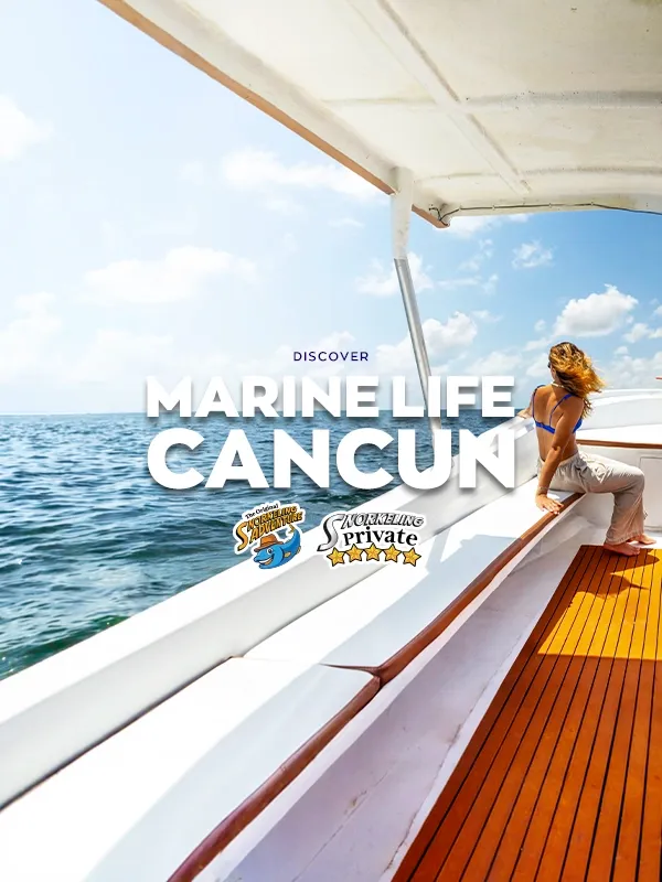 private boat and snorkel in puerto morelos