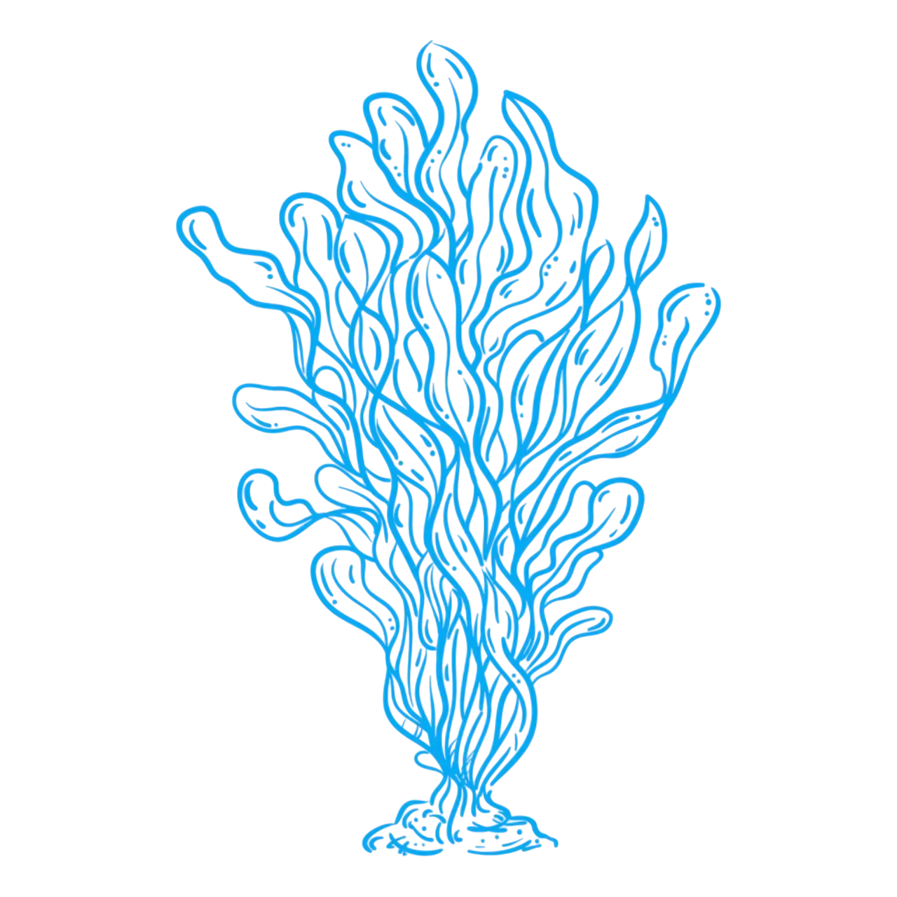 Blue seaweed decoration